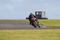 PJ-Motorsport-2019;anglesey-no-limits-trackday;anglesey-photographs;anglesey-trackday-photographs;enduro-digital-images;event-digital-images;eventdigitalimages;no-limits-trackdays;peter-wileman-photography;racing-digital-images;trac-mon;trackday-digital-images;trackday-photos;ty-croes